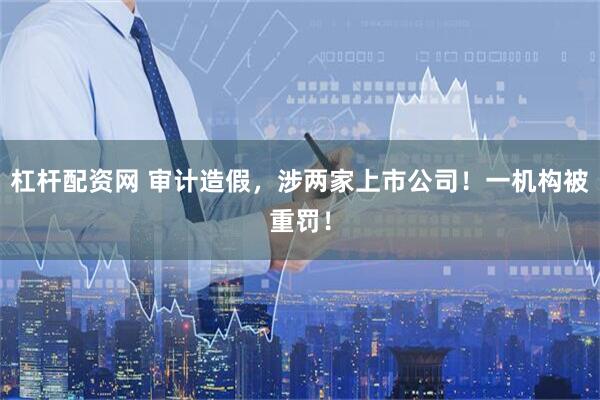 杠杆配资网 审计造假，涉两家上市公司！一机构被重罚！