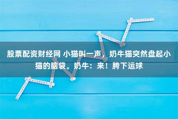 股票配资财经网 小猫叫一声，奶牛猫突然盘起小猫的脑袋。奶牛：来！胯下运球